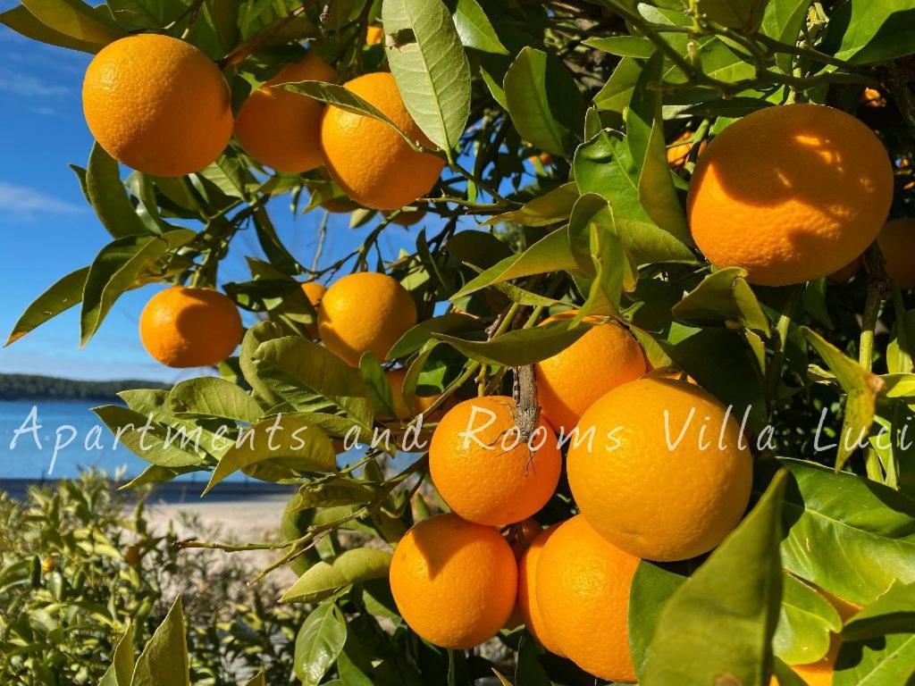 Barbat na Rabu Apartments And Rooms Villa Luci מראה חיצוני תמונה