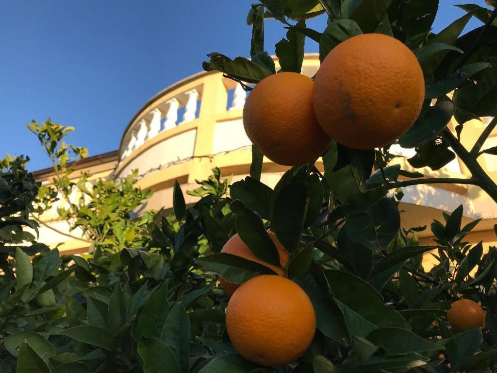 Barbat na Rabu Apartments And Rooms Villa Luci מראה חיצוני תמונה